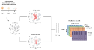 Single_cell.P