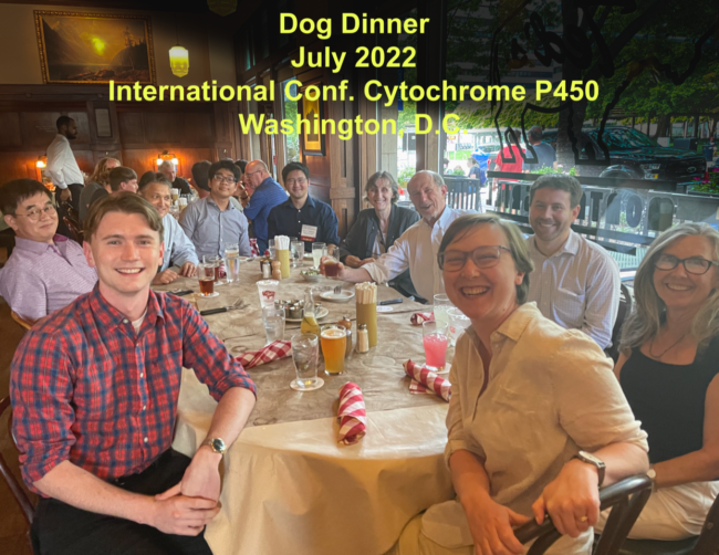 Dog Dinner ICCP450 July 2022