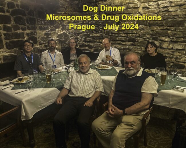 Dog Dinner Prague July 2024
