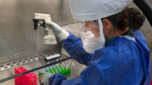 This Centers for Disease Control (CDC) scientist was using a pipette to transfer H7N9 virus into vials for sharing with partner laboratories for public health research purposes. (Photo by: BSIP/Universal Images Group via Getty Images)