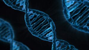 Researchers have turned DNA into a minuscule hard drive