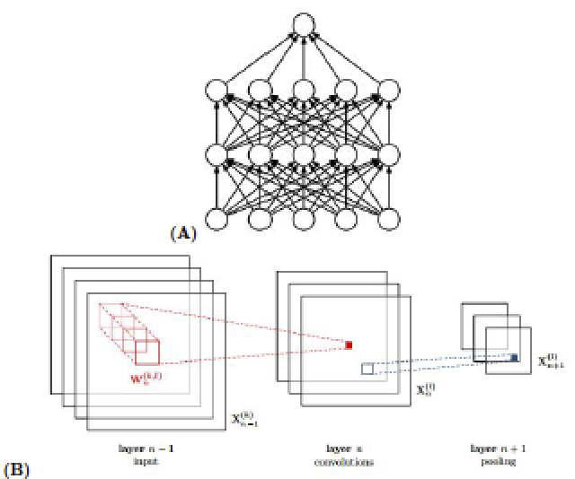 (A) A standard fully connected neural network where each layer's node is connected to each node from the
previous layer.7 (B) A convolutional neural network connecting a covolutional layer to a pooling layer.