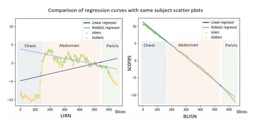A representative subject was evaluated with URN (left) and BUSN (right). Green scatters are inliers of influence to the regression, yellow scatters are outliers of no influence to the distributed data. Darker blue line indicates the normal linear regression on scatters points, lighter blue line is the RANSAC regressor result according to inliers. Left panel presents the single URN regression with amounts of outliers result in failure of linearity nature in chest and pelvis regions. Right panel shows the testing result of BUSN method, the distributed scores follows good linearity in chest, abdomen and pelvis regions in CT scan. In summary, BUSN takes advantage of self-supervised network, which presents better continuity in regression result among neighbor slices and shows scatter plots without number of outliers.