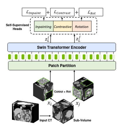 Overview of our proposed pre-training framework. Input CT images are randomly cropped into sub-volumes and augmented with random inner cutout and rotation, then fed to the Swin UNETR encoder as input. We use masked volume inpainting, contrastive learning and rotation prediction as proxy tasks for learning contextual representations of input images