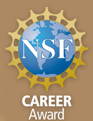 nsf dissertation award