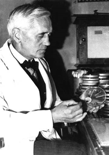 Alexander Fleming, at work with a penicillin mold in his London laboratory, on Sept. 17, 1943. He discovered penicillin in 1928.