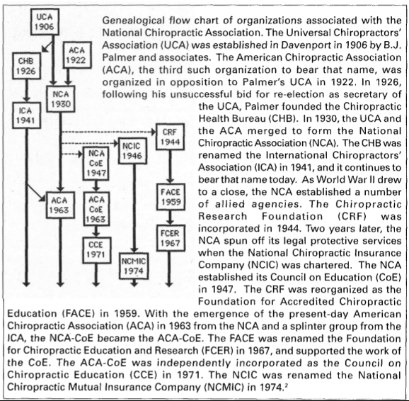 Figure 2: A flow chart of chiropractic organizations from 1906-1974. All of these organizations are associated with the National Chiropractic Association. One can tell from this chart that the history of chiropractic societies involves many mergers and splits, and often, a repetition of organizational names. (Source: Keating, “Organized Chiropractic in America”)