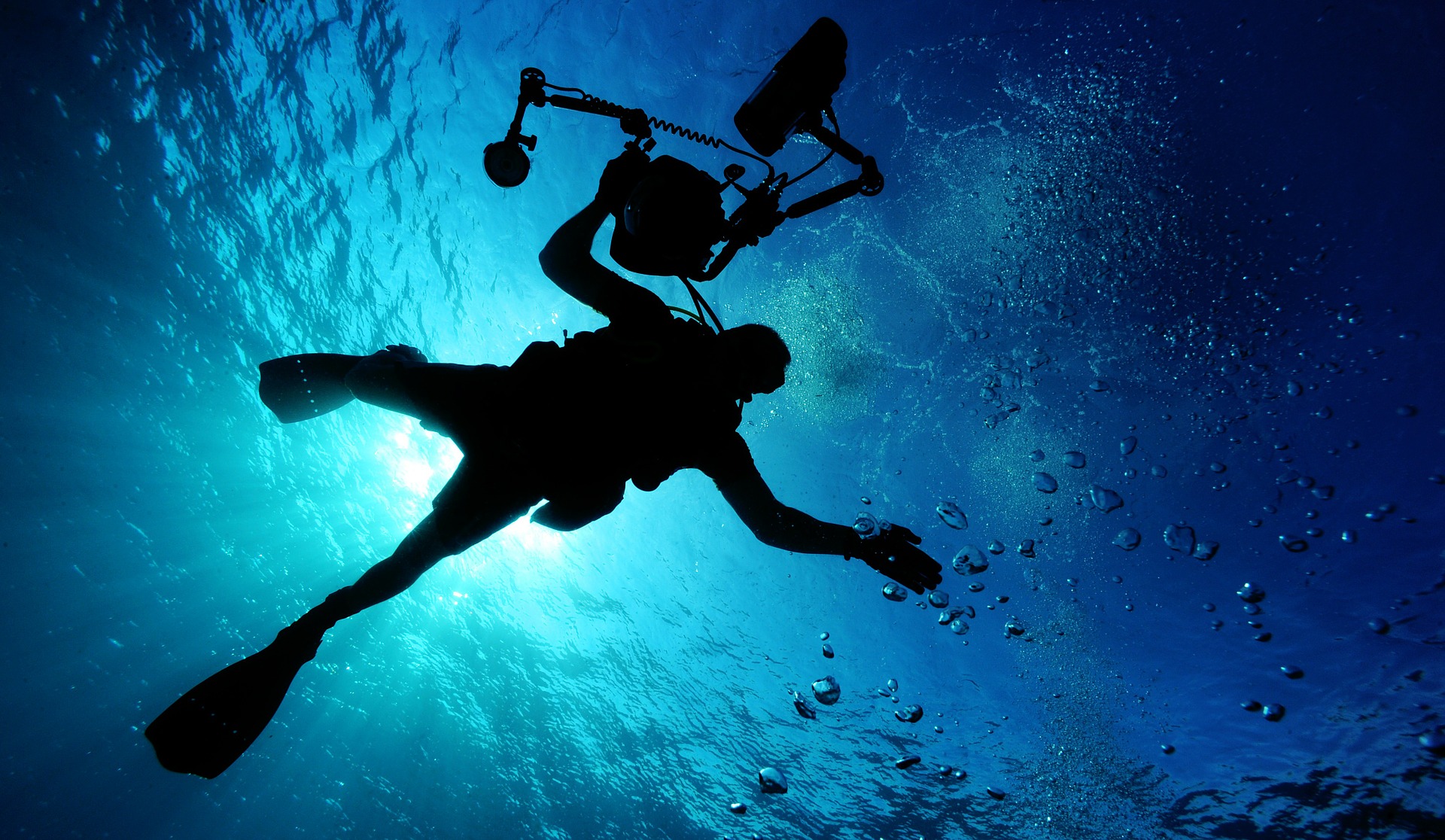 scuba diving certification at vanderbilt