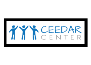 To access the website for the CEEDAR Center, click the image