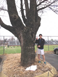 Student surveying ash trees